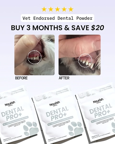 A split-screen comparison showing pet dental improvement using a dental powder, backed by social proof.